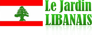 Le Jardin Libanais - Anderlecht - Restaurant